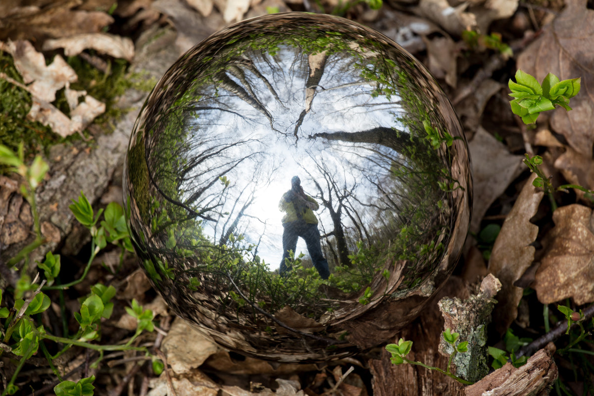 Self Reflection, the Key to Change